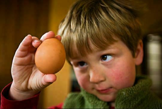 علل آلرژی به تخم مرغ