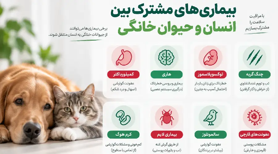 بیماری های مشترک بین انسان و حیوان خانگی