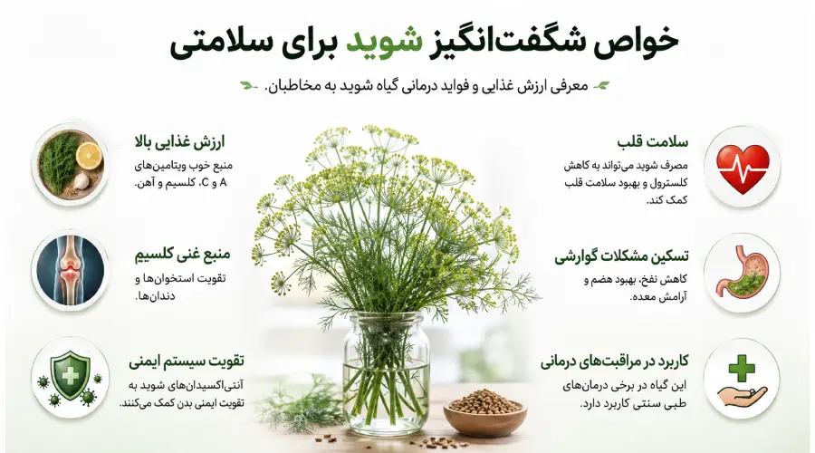 خواص شوید
