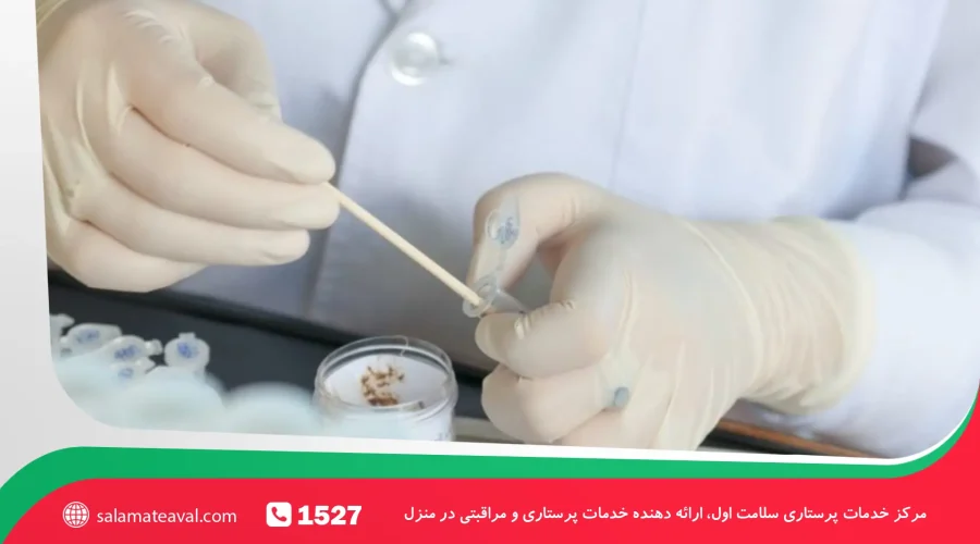 آزمایش مدفوع در منزل