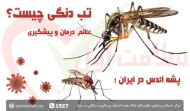 تب دنگی چیست؟ علائم تب دانگ