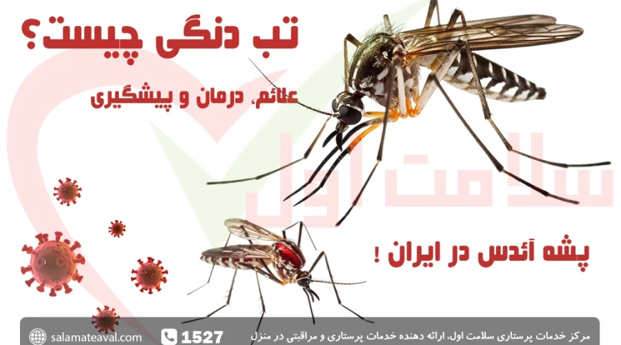 تب دنگی چیست؟ علائم تب دانگ