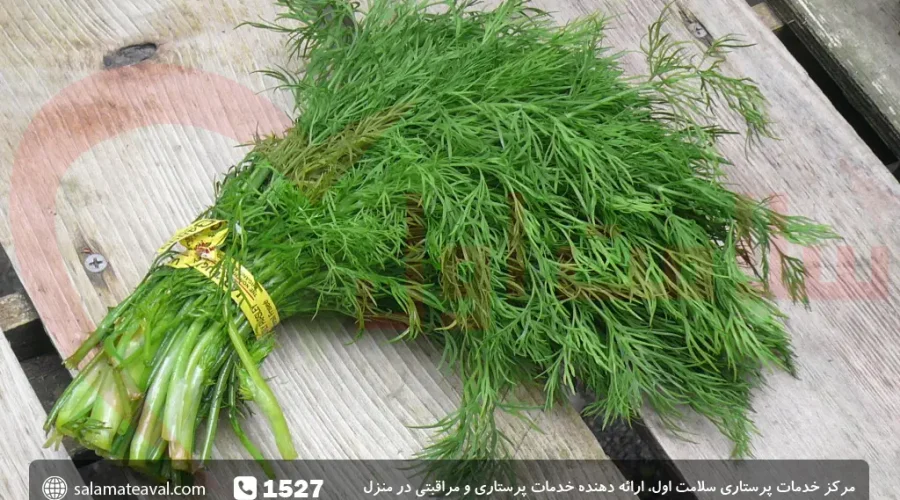 خواص شوید؛ فواید شوید خشک با ماست