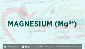 خواص منیزیم