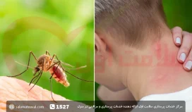 دلیل خارش نیش پشه