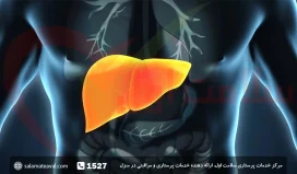 سن بروز کبد چرب